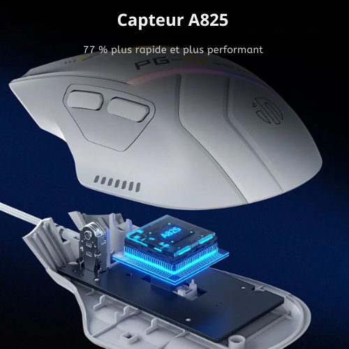 Souris Gaming Filaire PG1
